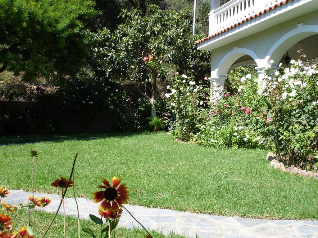 Alexandros Apartments & Studios Agios Gordios  Zewnętrze zdjęcie
